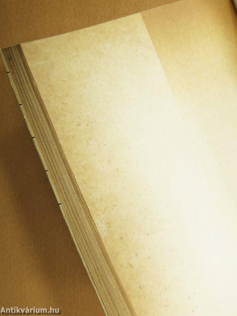 Társadalmi beilleszkedési zavarok Magyarországon