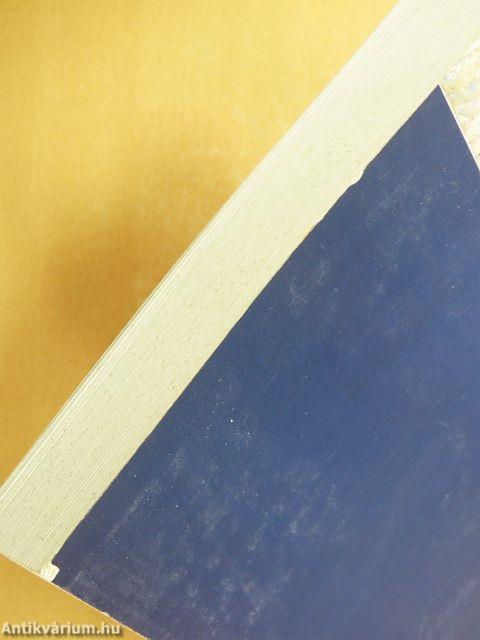 Mednyánszky László feljegyzései