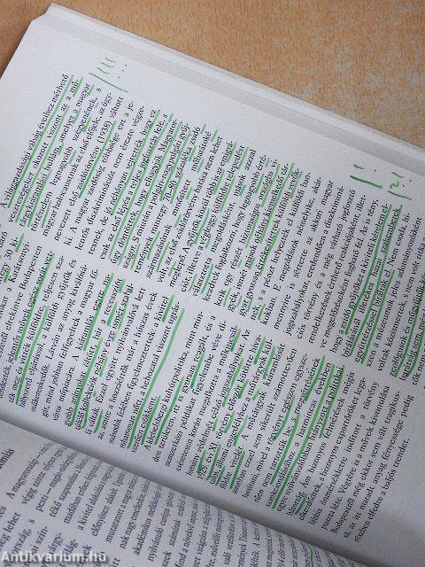 Budapesti negyed 2001. nyár-ősz