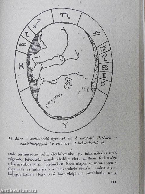 Titokzatos erők - csodás esetek