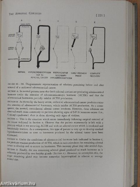 Functional Endocrinology