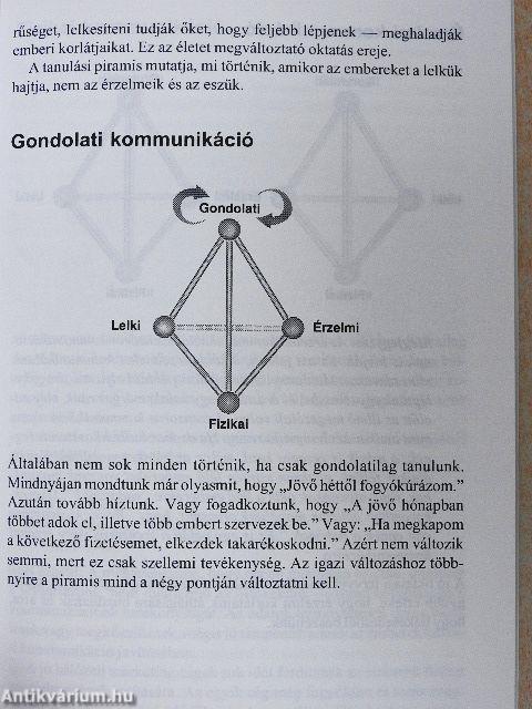 Gazdag papa - Üzleti iskola