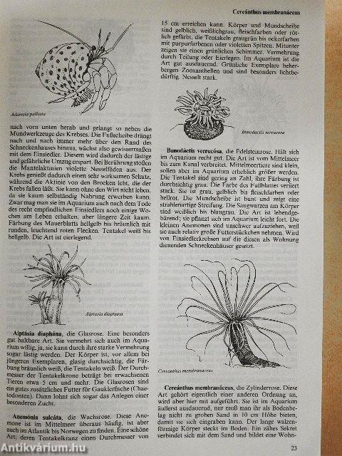 Das große Lexikon der Aquaristik