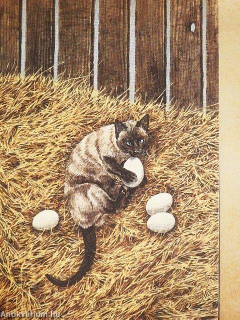 Un viaggio incredibile/Cielo di notte/Il negozio all'angolo/Il Canyon