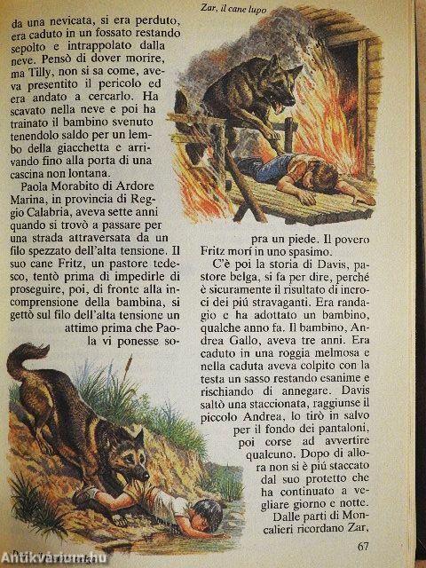 Un viaggio incredibile/Cielo di notte/Il negozio all'angolo/Il Canyon