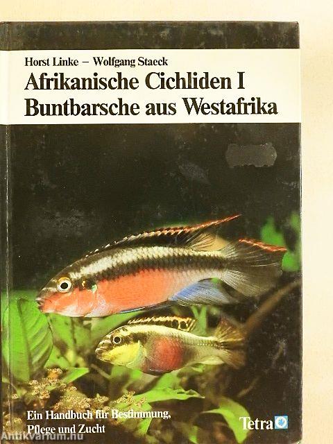Afrikanische Cichliden I. - Buntbarsche aus Westafrika