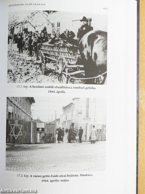 A népirtás politikája 1-2.