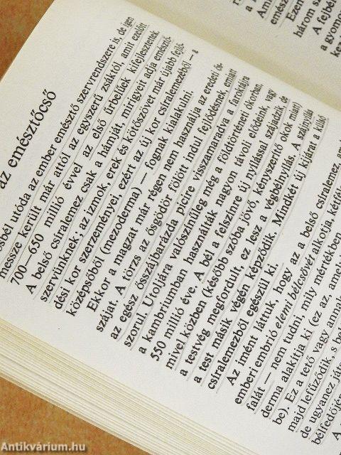 Hogyan lesz a petesejtből ember?