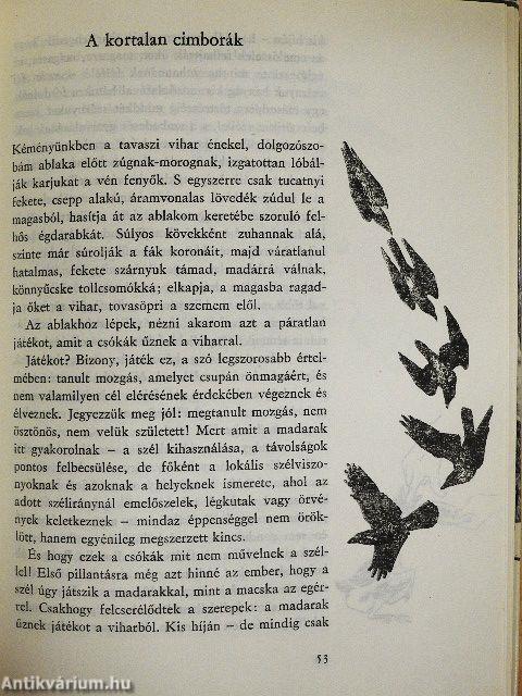 Salamon király gyűrűje