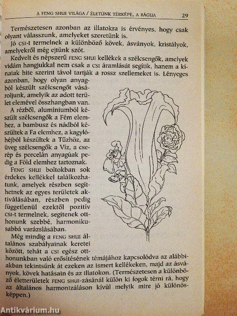 Feng shui asztrológus szemmel