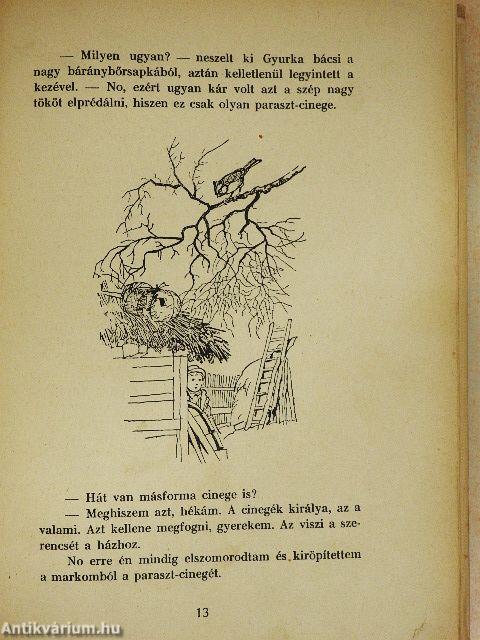 Kincskereső kis ködmön