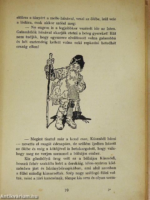 Kincskereső kis ködmön