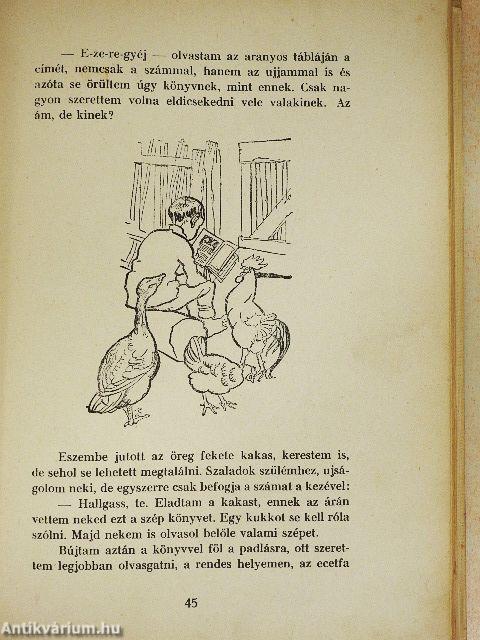 Kincskereső kis ködmön