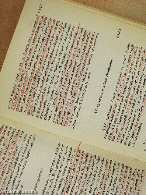 Functionalis anatomia 1-3.