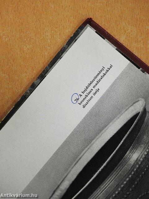 A bronzkor Magyarországon