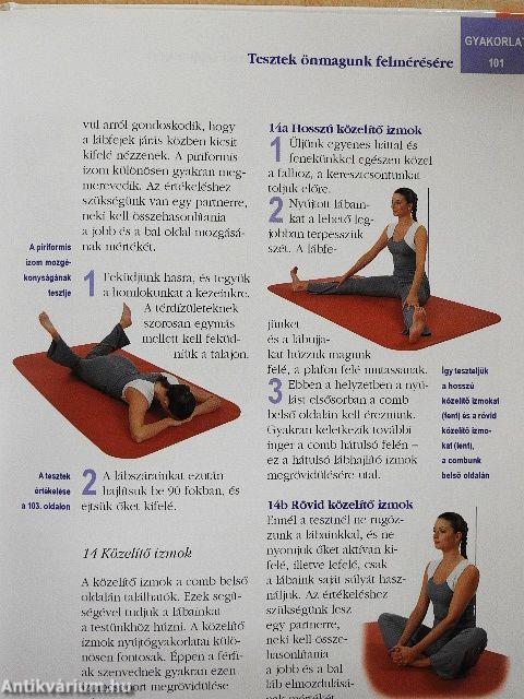 Egészséges ízületek