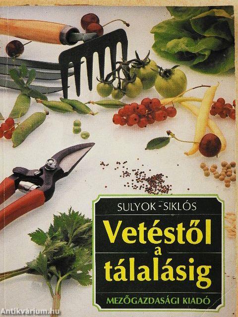 Vetéstől a tálalásig