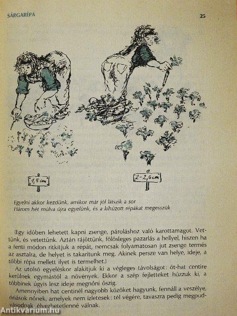 Vetéstől a tálalásig