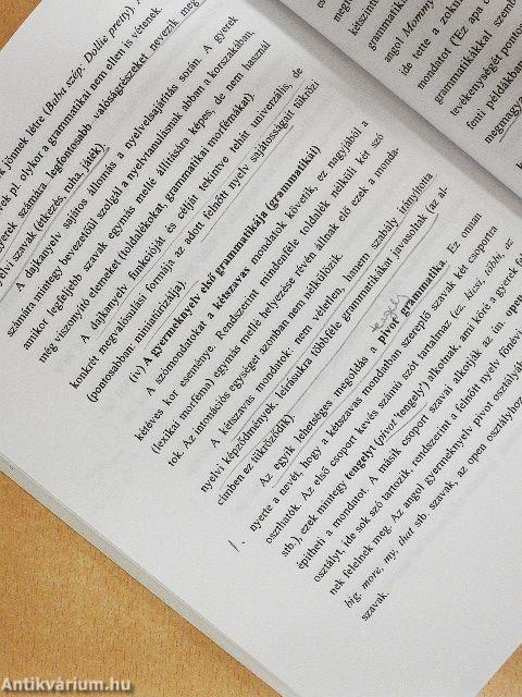 Bevezetés a pszicholingvisztikába