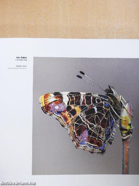 Magyarország 365 fotópályázat 2019