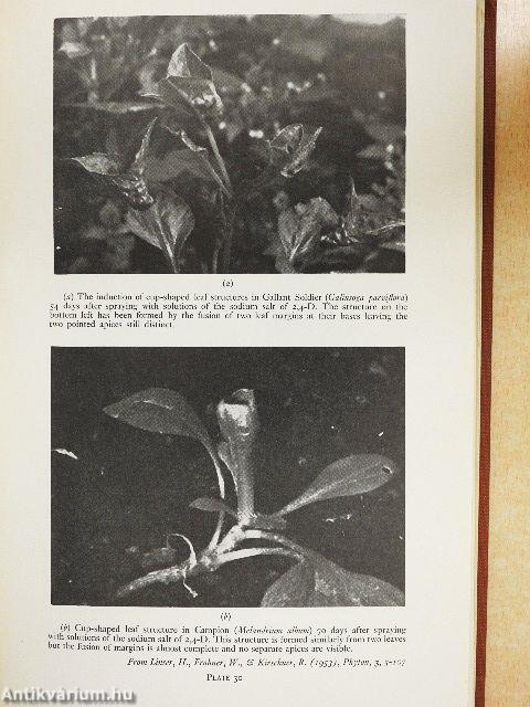 Plant Growth Substances