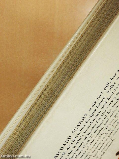 Best Story Book Ever