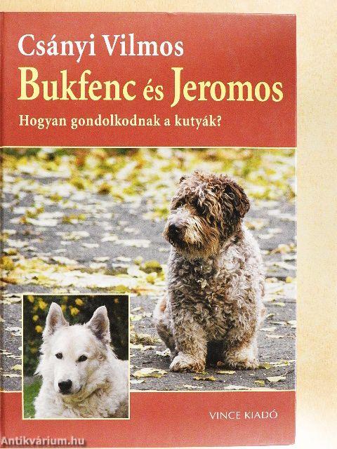 Bukfenc és Jeromos