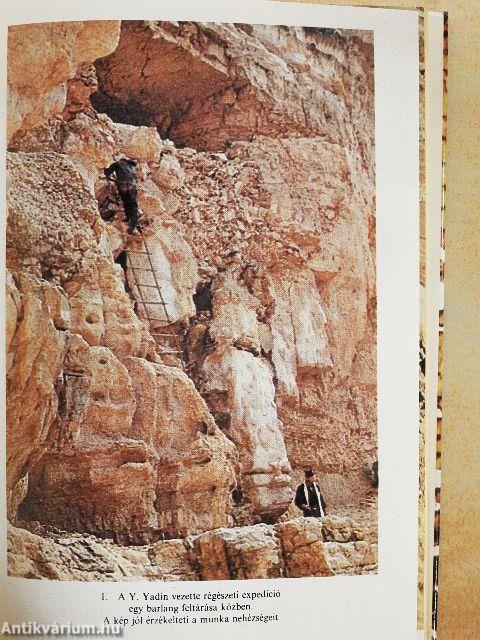 A Holt-tengeri tekercsek és a Qumráni közösség