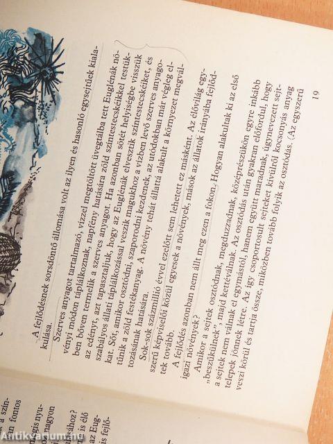 Élet más bolygókon