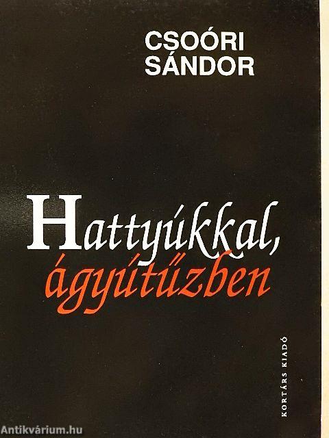 Hattyúkkal, ágyútűzben