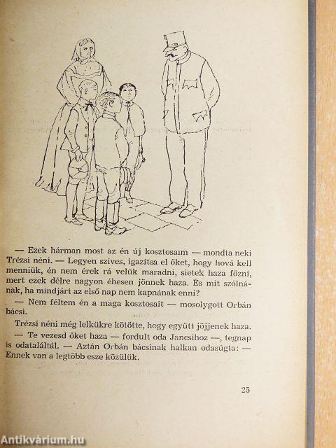 Trézsi néni kosztosai