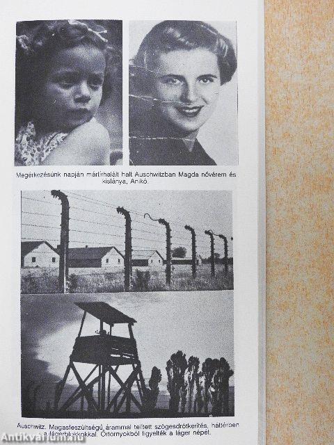 Bevérzett kőtáblák