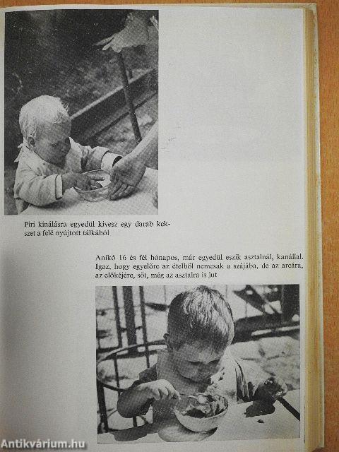 Anyák könyve