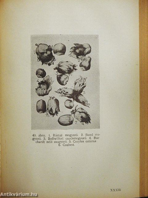 Dió-, mandula-, mogyoró-, gesztenyetermesztés és nemesítés