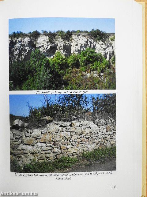 Tiszteletkötet Dr. Gál András geográfus 60. születésnapjára