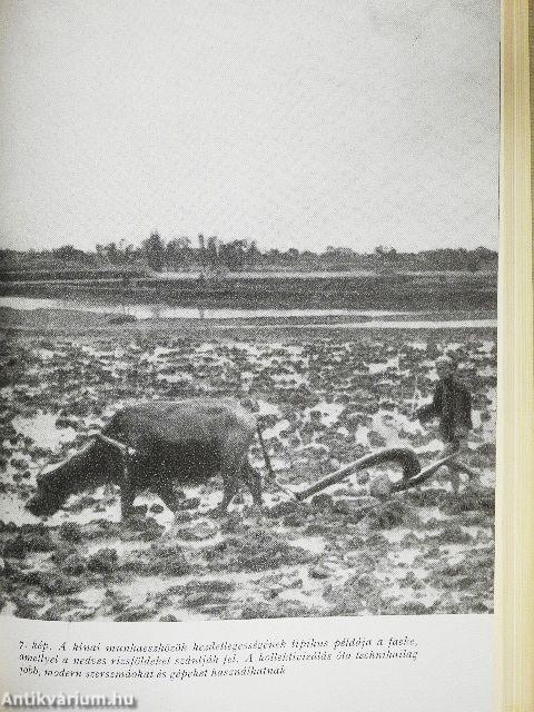 Versenyfutás a 2000. évig