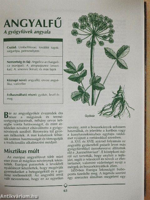 Gyógynövény enciklopédia