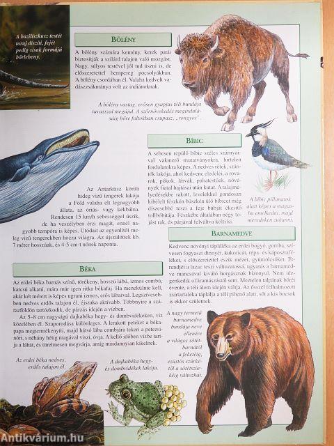 Képes vadállat lexikon