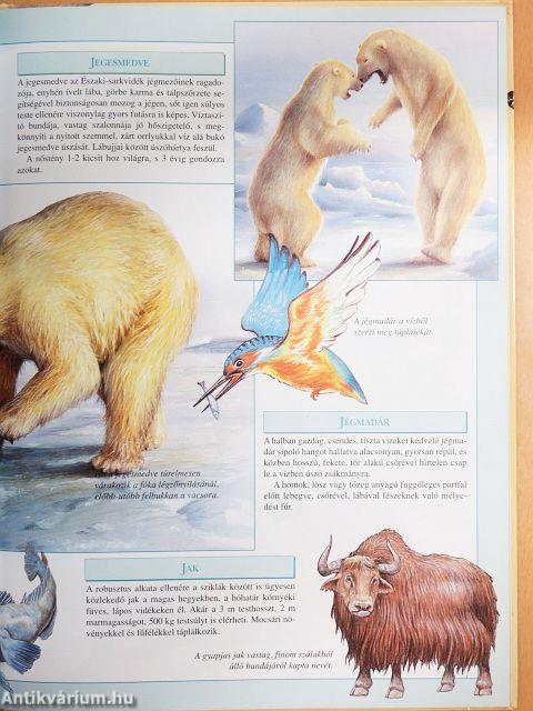 Képes vadállat lexikon