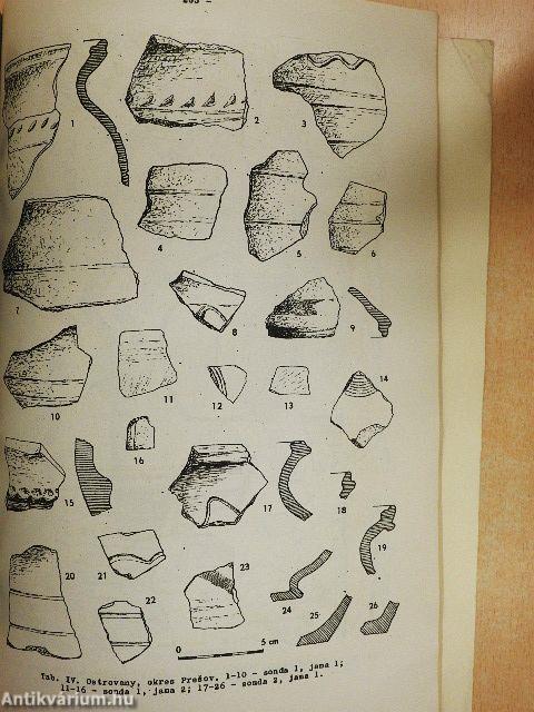 Studijné Zvesti 13.