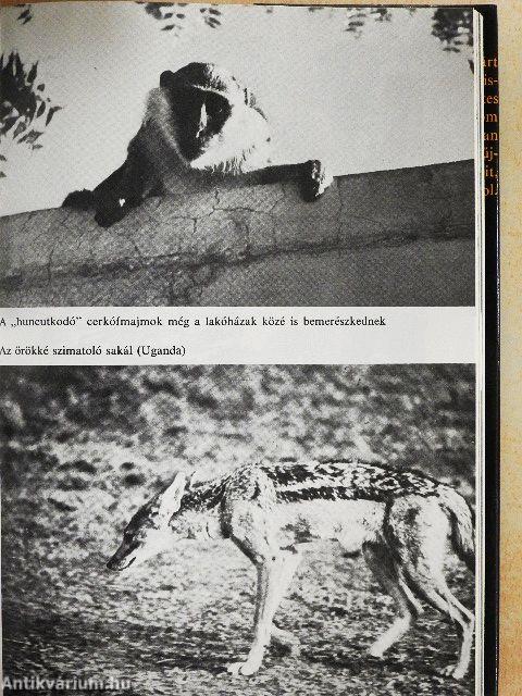 Habub Szudán felett