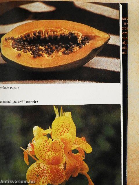 Habub Szudán felett