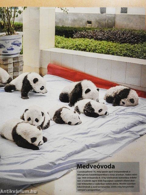 GEO 2015. szeptember