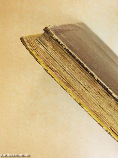 Egy kínai viszontagságai Kínában