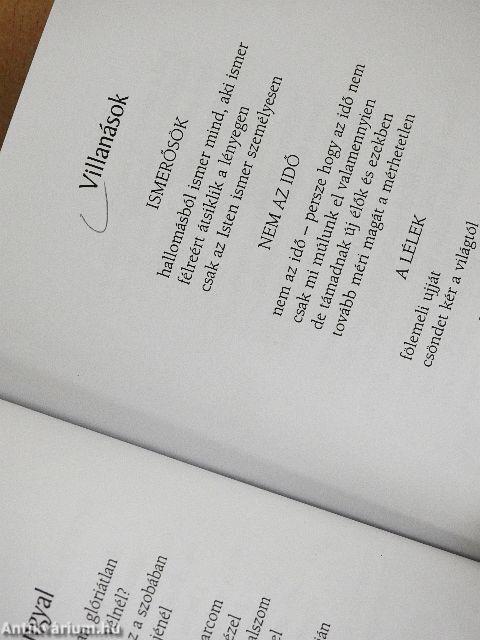 A bárány lázadása