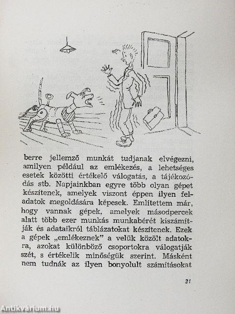Csillagtüzek a Földön