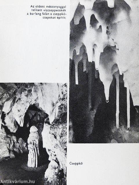 Cseppkőország mélyén