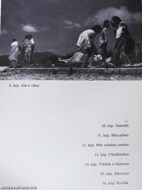 Balatoni fényképezés