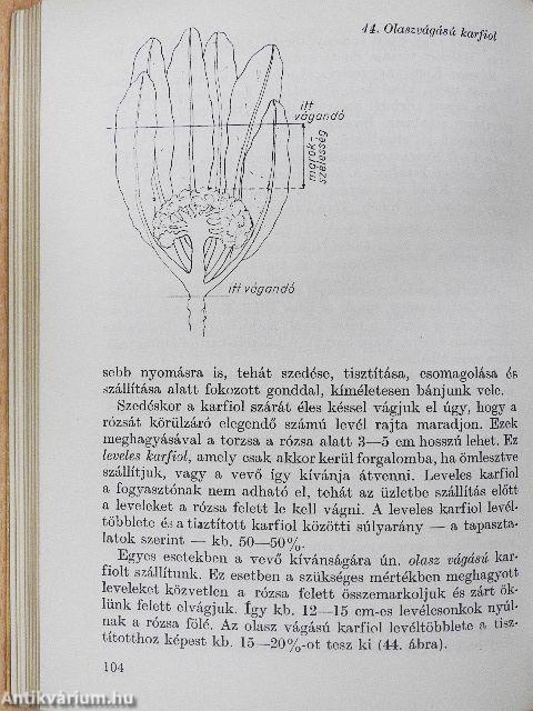 Zöldségfélék értékesítése