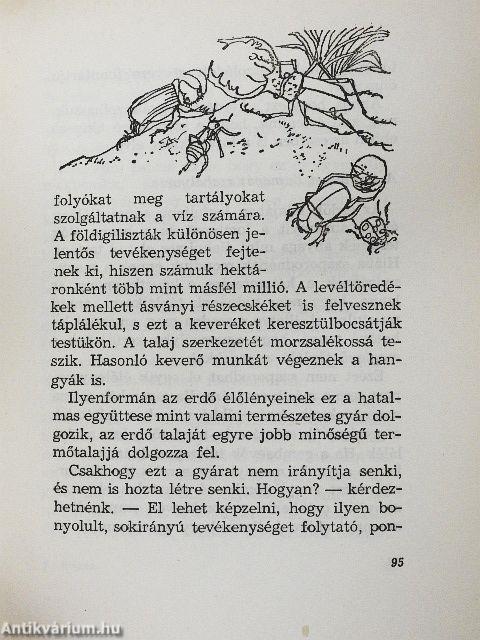 "Csodálatos" élővilág?